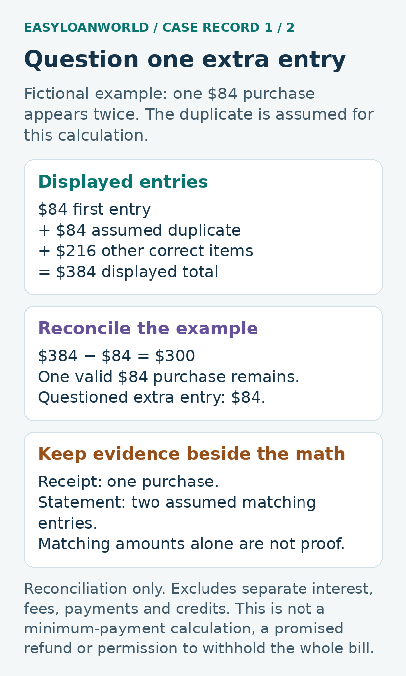 A fictional duplicate-entry worksheet separates the questioned entry from the other items.