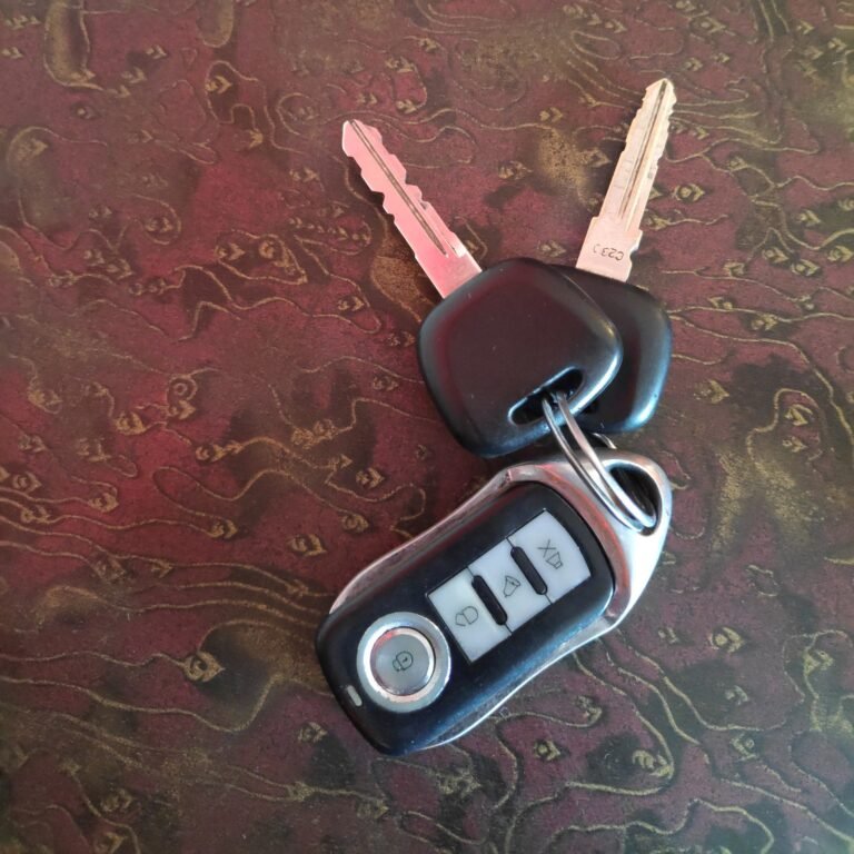Two black-headed car keys and a remote fob on a dark red patterned surface.