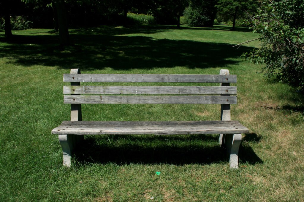 An empty wooden bench on grass with trees and shadows in the background.