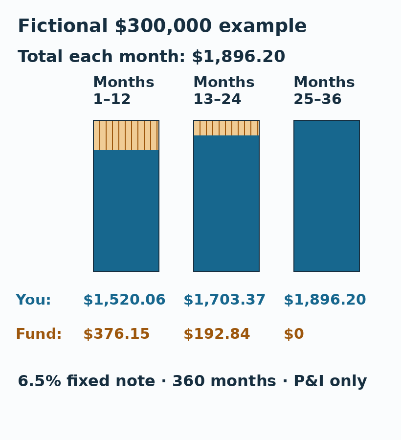 Fictional borrower and fund contributions across years.