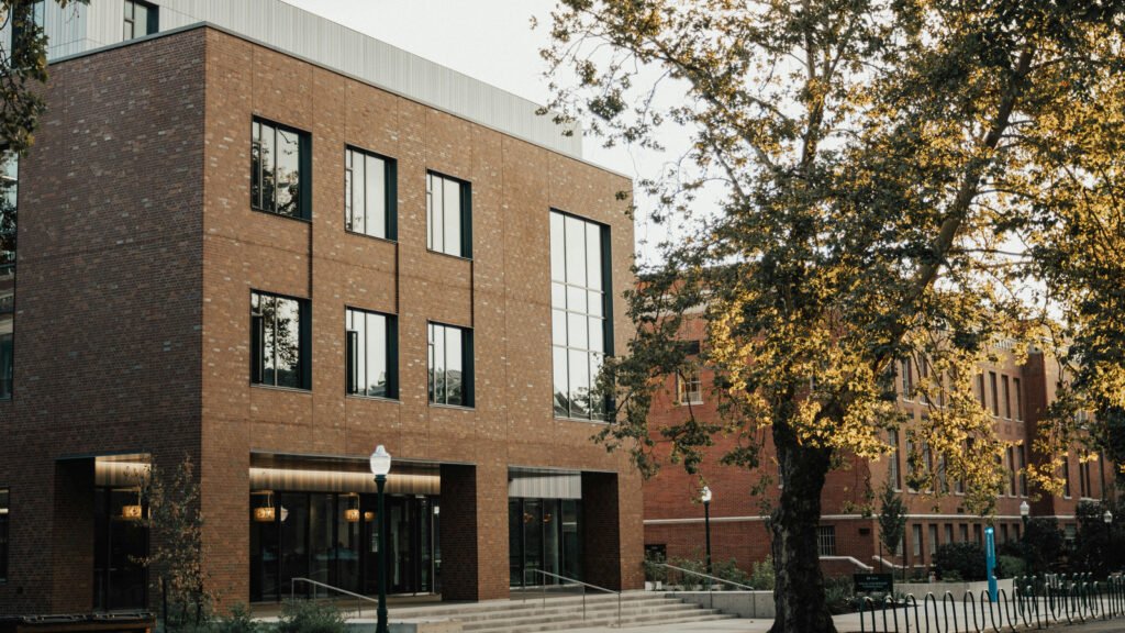 Brick campus buildings and an empty walkway beneath a leafy tree.